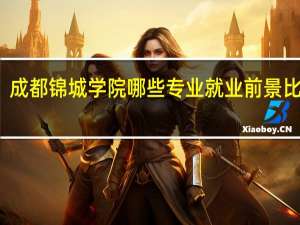 成都锦城学院哪些专业就业前景比较好