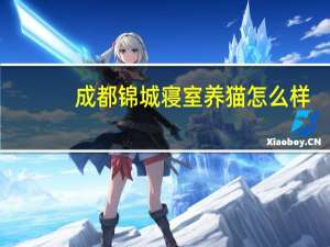 成都锦城寝室养猫怎么样