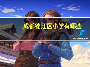 成都锦江区小学有哪些