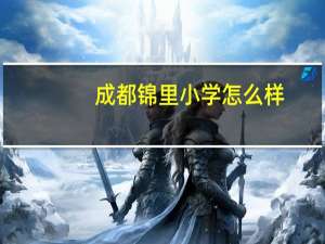 成都锦里小学怎么样