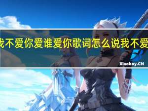 我不爱你爱谁爱你歌词 怎么说我不爱你歌词