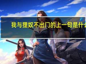 我与狸奴不出门的上一句是什么