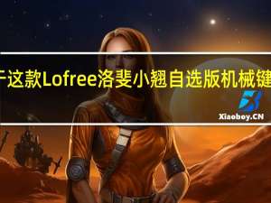 我个人对于这款Lofree洛斐小翘自选版机械键盘是非常的喜欢