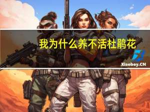 我为什么养不活杜鹃花