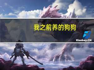 我之前养的狗狗