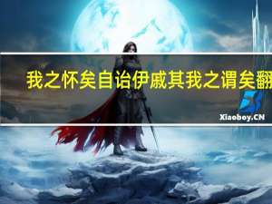 我之怀矣自诒伊戚其我之谓矣翻译