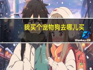我买个宠物狗去哪儿买