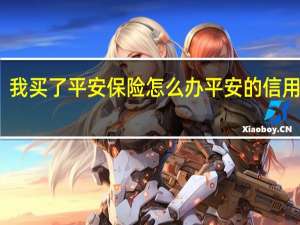 我买了平安保险怎么办平安的信用卡啊