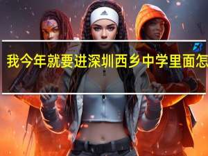 我今年就要进深圳西乡中学里面怎么样。