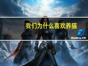 我们为什么喜欢养猫