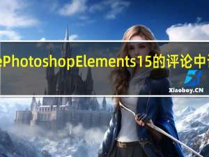我们在对Adob​​ePhotoshopElements15的评论中详细讨论了管理器的更新