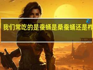 我们常吃的是蚕蛹是桑蚕蛹还是柞蚕蛹