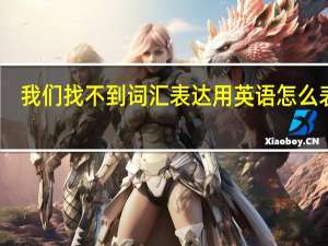 我们找不到词汇表达用英语怎么表达？