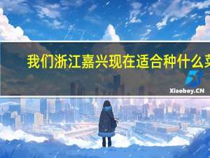 我们浙江嘉兴现在适合种什么菜