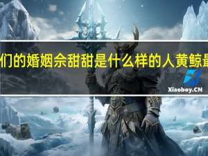 我们的婚姻佘甜甜是什么样的人 黄鲸最后如何