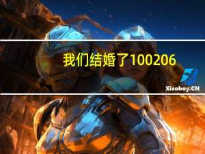 我们结婚了100206（关于我们结婚了100206的介绍）