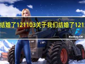 我们结婚了121103 关于我们结婚了121103的介绍