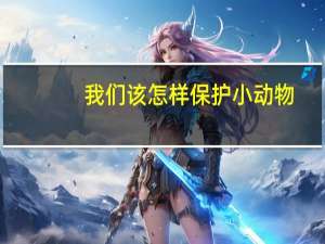我们该怎样保护小动物