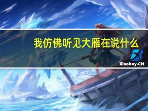 我仿佛听见大雁在说什么