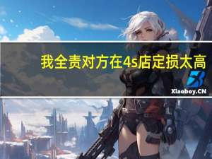 我全责对方在4s店定损太高（定损是什么意思）