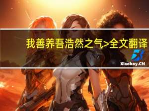 我善养吾浩然之气>全文翻译