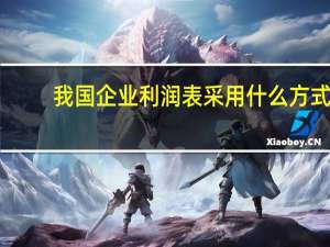 我国企业利润表采用什么方式