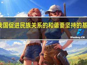 我国促进民族关系的和谐要坚持的基本原则