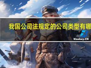 我国公司法规定的公司类型有哪些