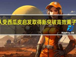 我国团队受西瓜皮启发取得新突破 高效离子传输材料问世