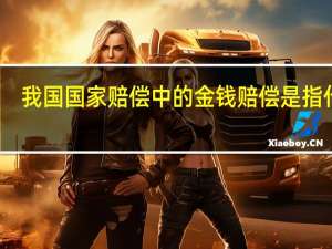 我国国家赔偿中的金钱赔偿是指什么