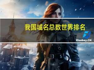 我国域名总数世界排名（我国域名总数）
