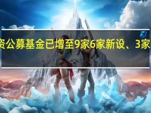 我国外商独资公募基金已增至9家 6家新设、3家通过股权转让而来