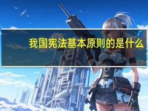 我国宪法基本原则的是什么