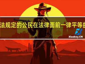 我国宪法规定的公民在法律面前一律平等的原则的含义