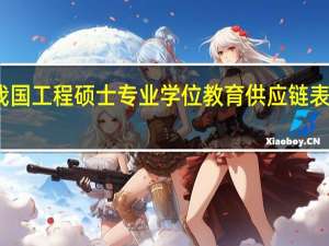 我国工程硕士专业学位教育供应链表现形态