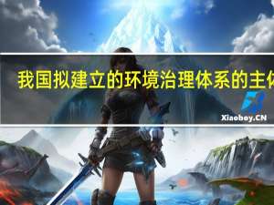 我国拟建立的环境治理体系的主体是