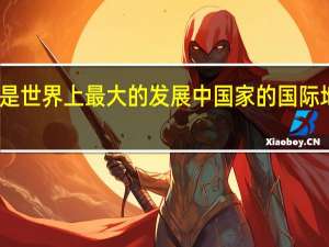 我国是世界上最大的发展中国家的国际地位没有变（我国是世界最大发展中国家的国际地位没有变）
