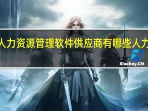 我国有名的HR人力资源管理软件供应商有哪些 人力资源管理软件有哪些