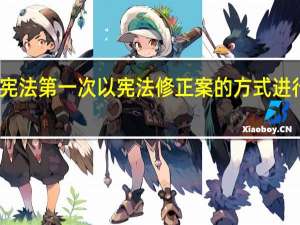 我国现行宪法第一次以宪法修正案的方式进行修改的时间是