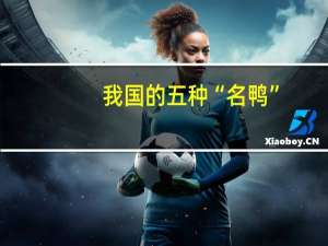 我国的五种“名鸭”，哪一种人外国人很喜欢吃