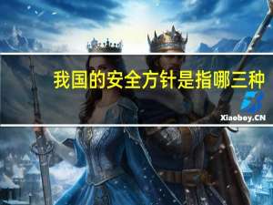 我国的安全方针是指哪三种