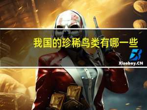 我国的珍稀鸟类有哪一些