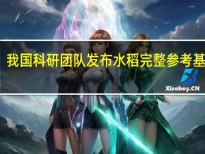 我国科研团队发布水稻完整参考基因组