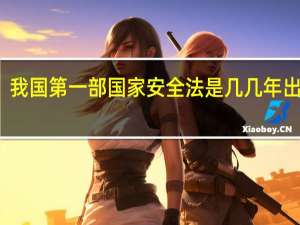 我国第一部国家安全法是几几年出台的