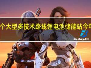 我国首个大型多技术路线锂电池储能站今年将在粤投产