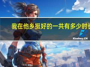 我在他乡挺好的一共有多少时长（我在他乡挺好的一共多少集）