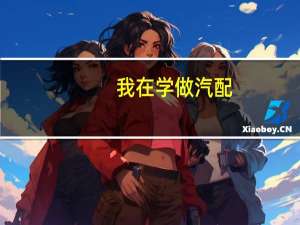 我在学做汽配，但是我不知道汽配发展前景，到底是做单一产品好，还是做全车件好