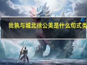 我孰与城北徐公美是什么句式类型（我孰与城北徐公美是什么句式）