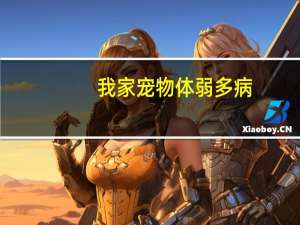 我家宠物体弱多病，福懋动物医生建议我积累一些急救知识，平时你积累了那些宠物急救措施