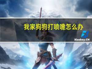 我家狗狗打喷嚏怎么办